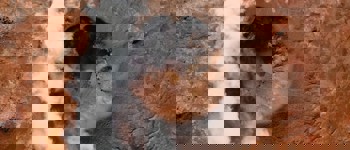 Karsten Winegeart 6Ovtn7aq4iw Unsplash